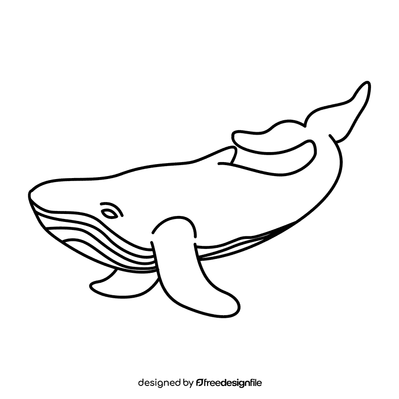 Humpback whale snaking black and white clipart