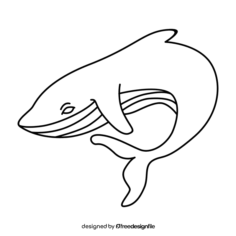 Humpback whale turning down black and white clipart