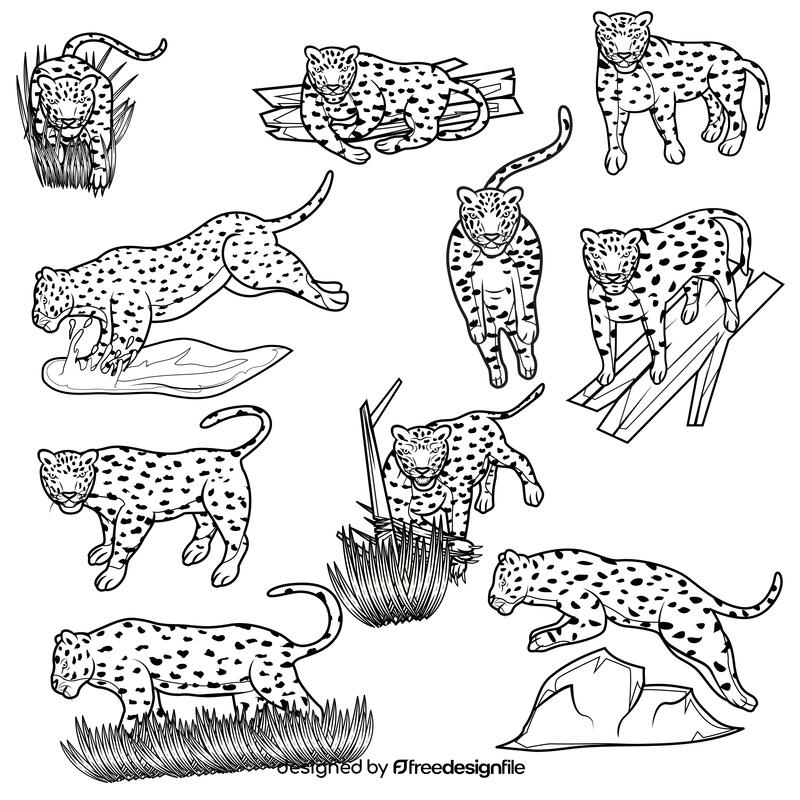 Leopard Set black and white vector