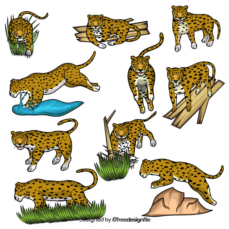 Leopard Set vector