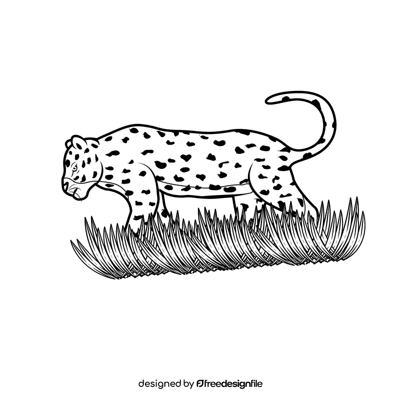 Leopard Walk black and white clipart