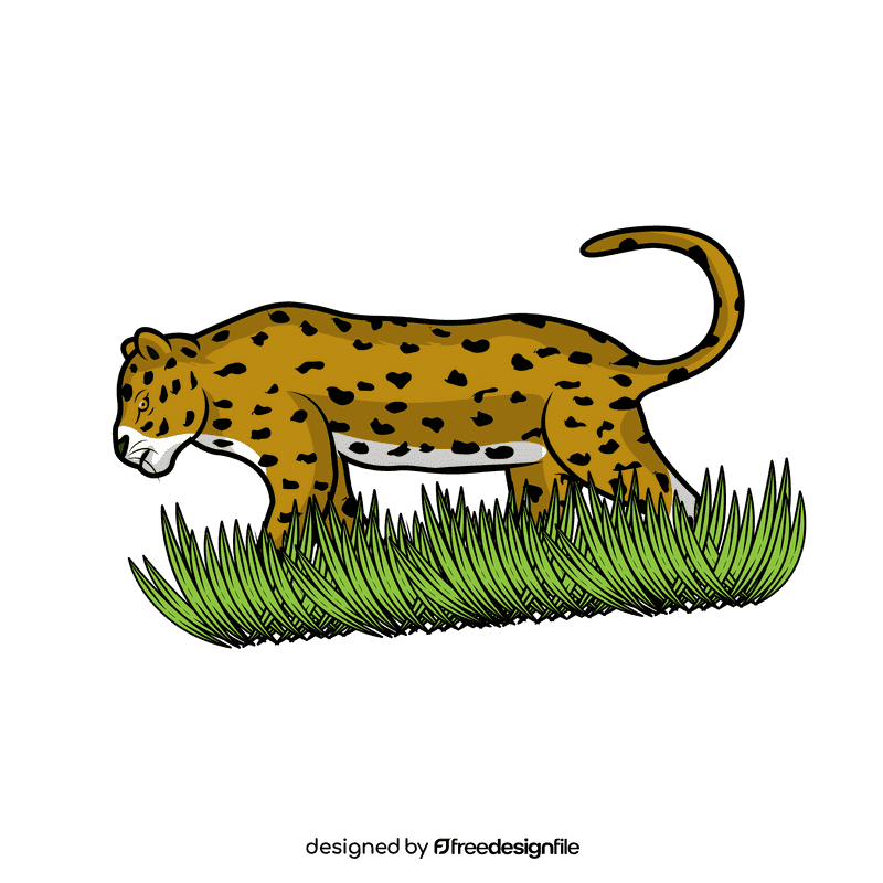 Leopard Walk clipart