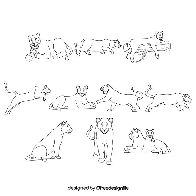 Lioness  Set black and white vector
