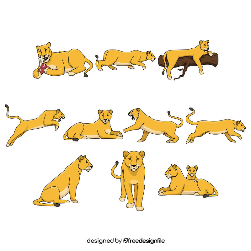 Lioness vector Set vector