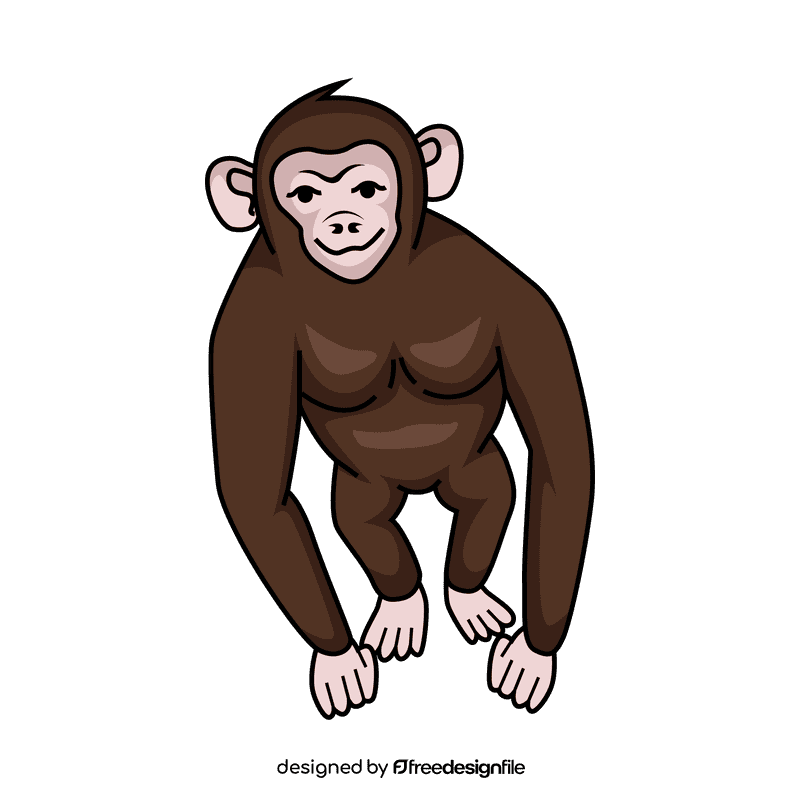 Chimpanzee clipart