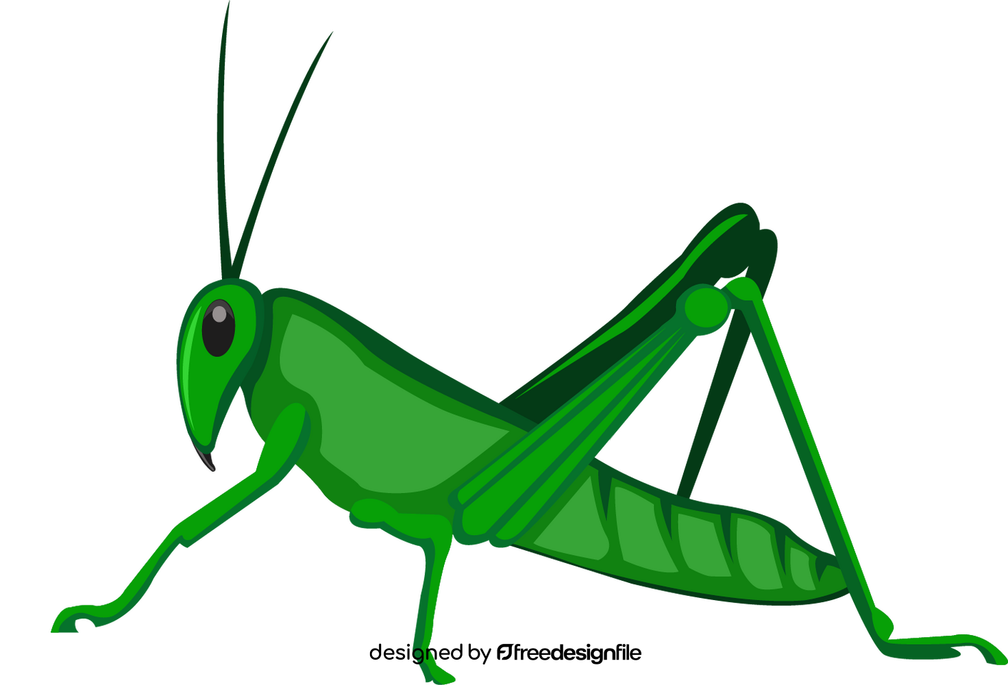 Grasshopper clipart