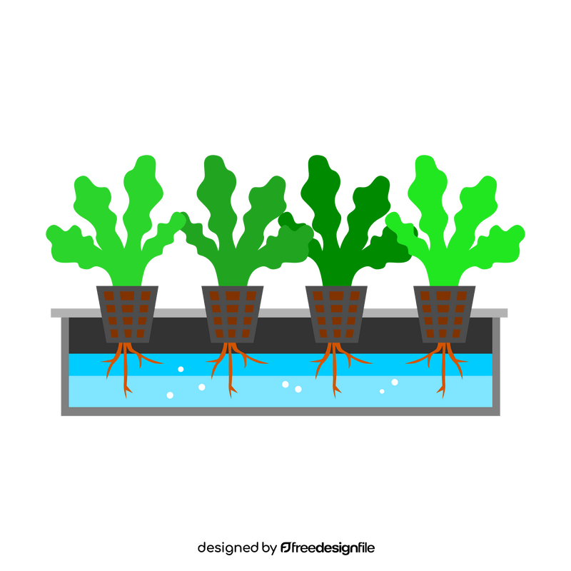 Hydroponics growing tray clipart