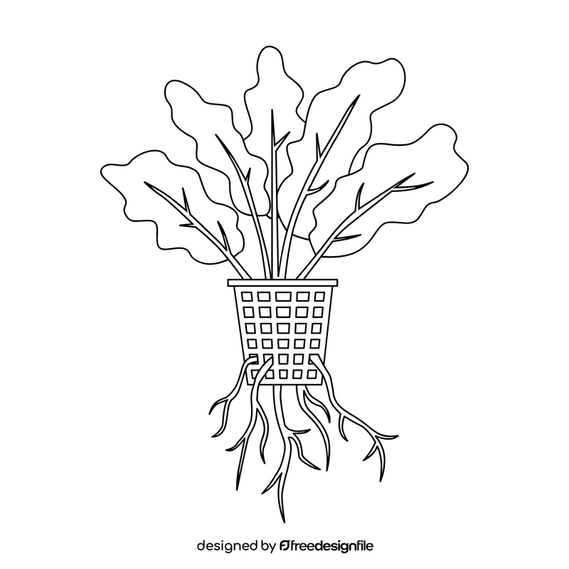 Hydroponic plant black and white clipart