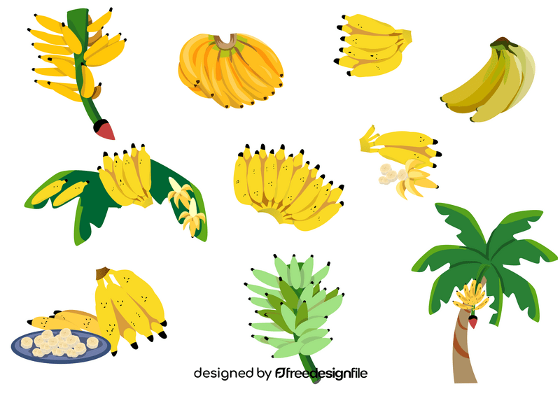 Bananas vector