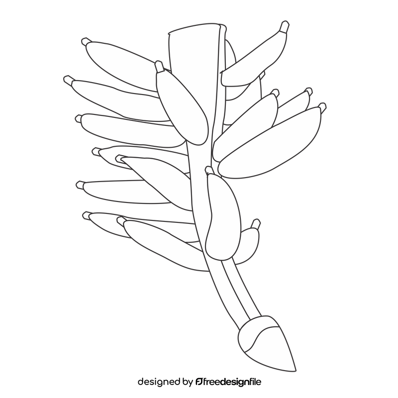 Bananas on a branch black and white clipart