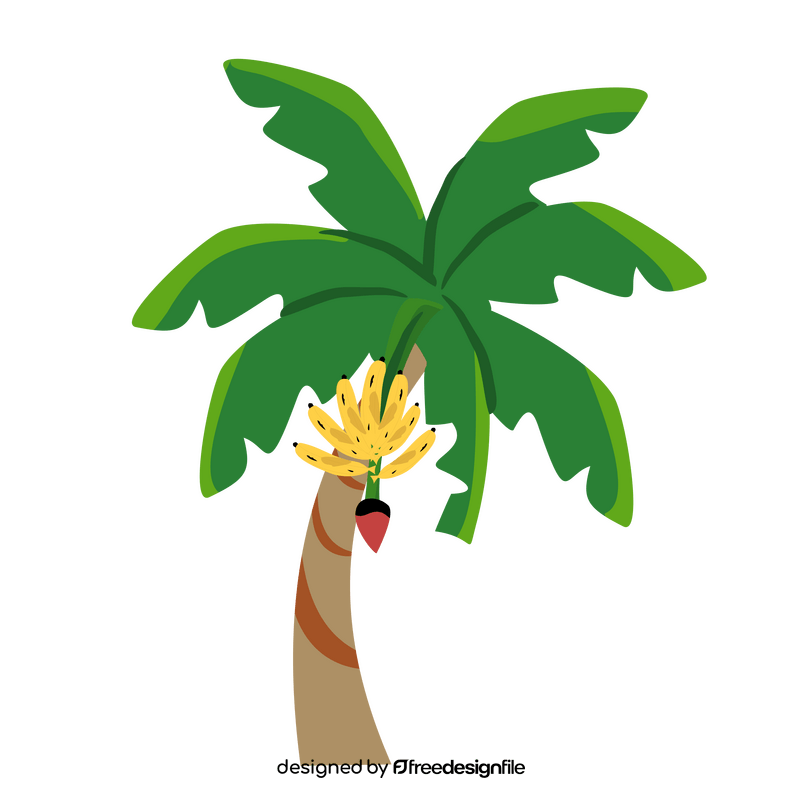 Tropical Banana Palm Tree clipart