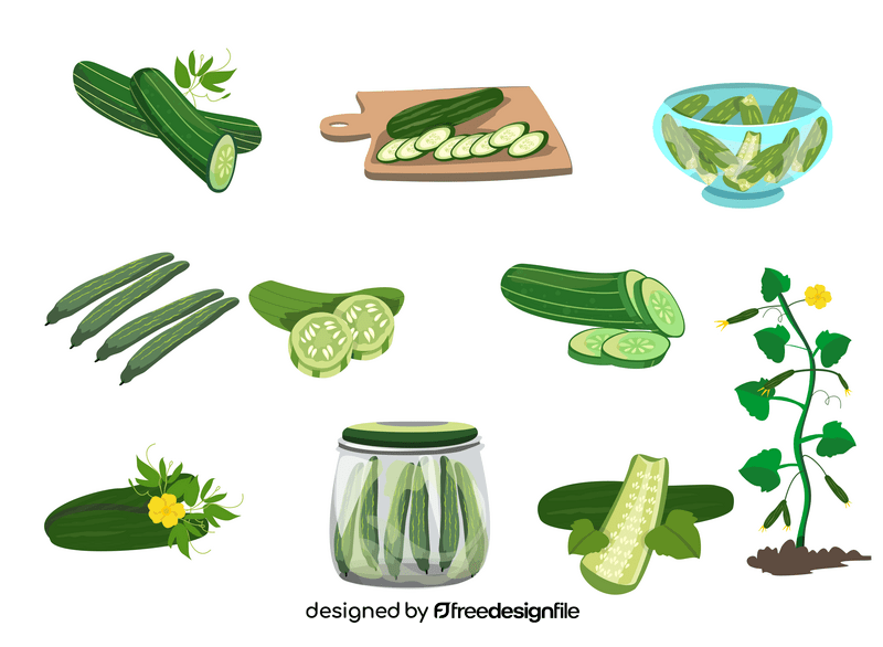 Cucumbers vector