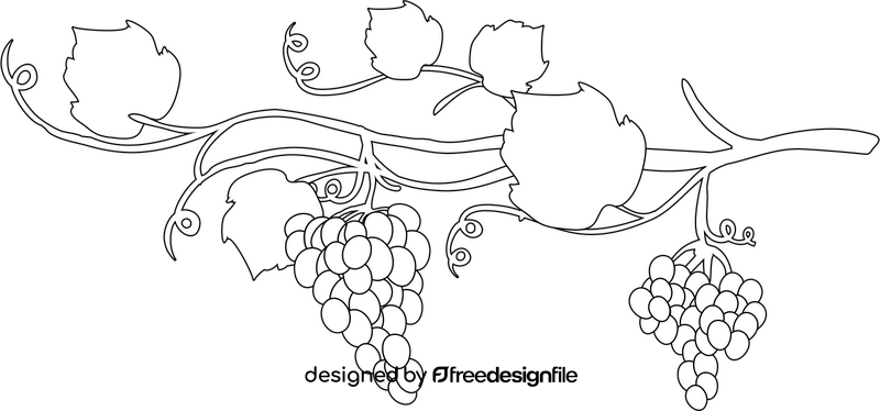 Branch of grapes black and white clipart
