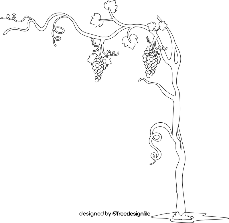 Grape tree illustration black and white clipart