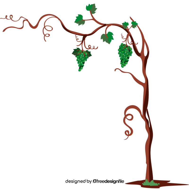 Grape tree illustration clipart