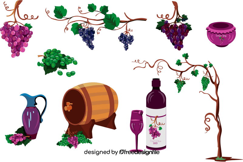 Grapes, wine vector