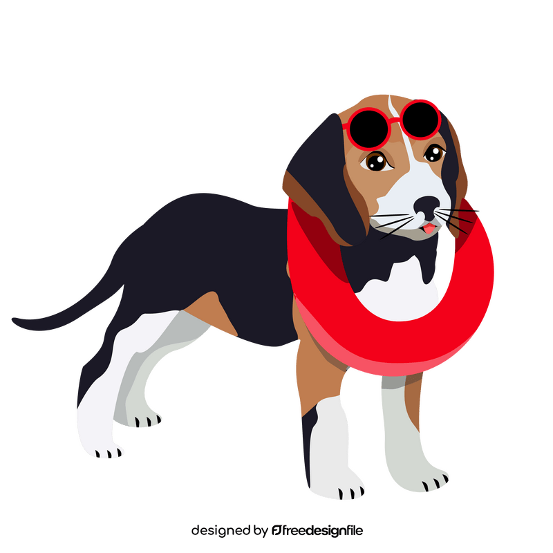 Beagle dog at the beach clipart