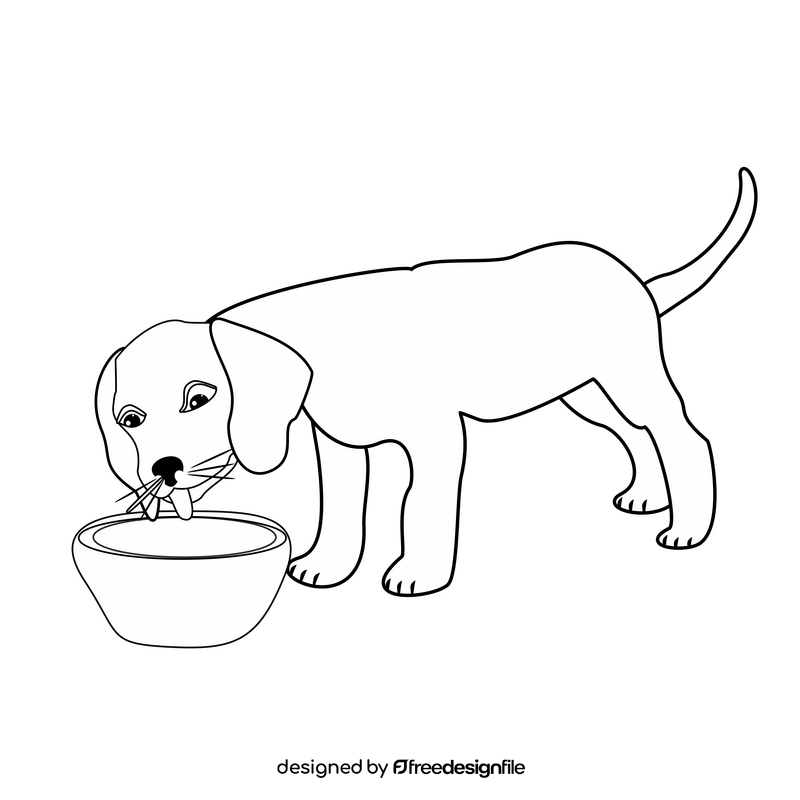 Beagle dog drinking water black and white clipart