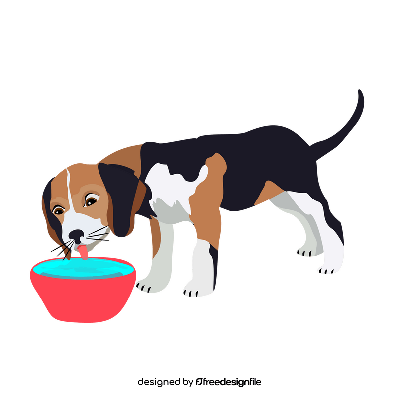 Beagle dog drinking water clipart