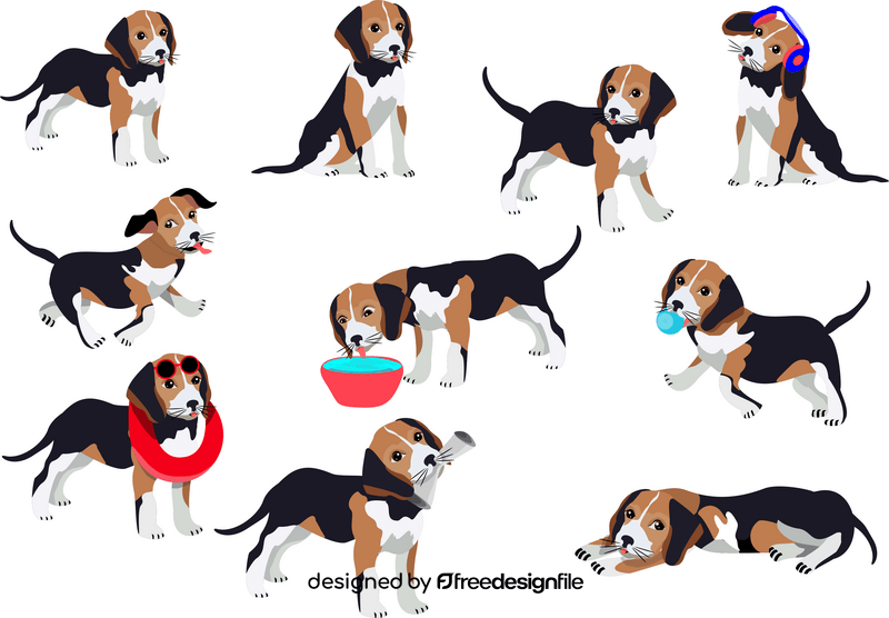 Beagle dogs vector