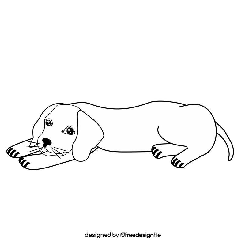 Beagle dog resting black and white clipart