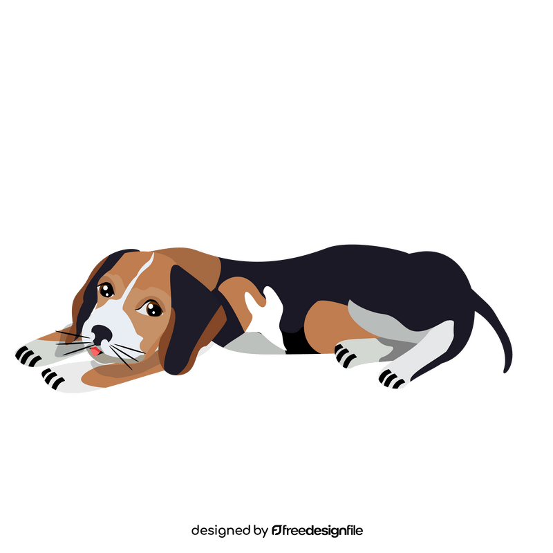 Beagle dog resting clipart