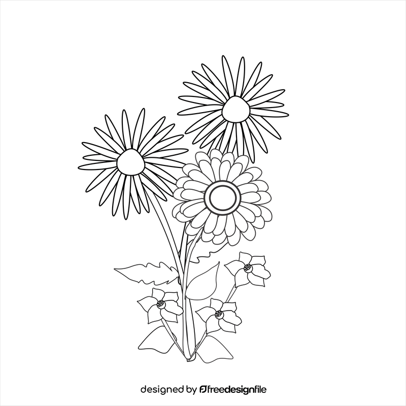 Daisies, gerbera and violets black and white clipart