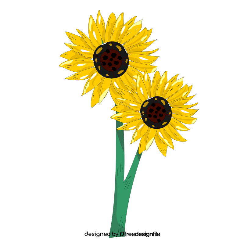 Sunflowers illustration clipart