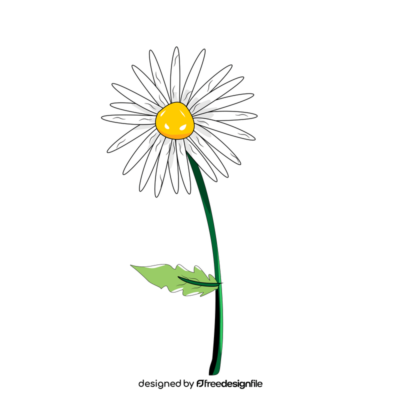 Cartoon daisy flower clipart