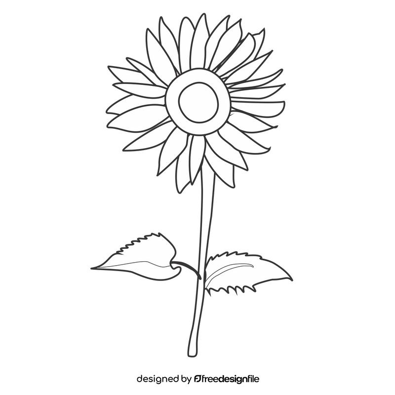 Sunflower illustration black and white clipart