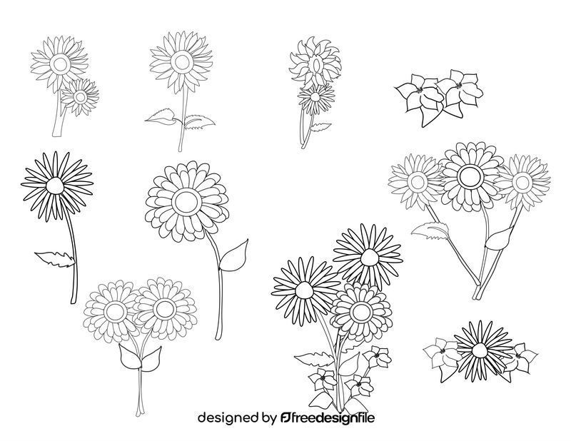 Daisies, gerberas, violets flowers black and white vector