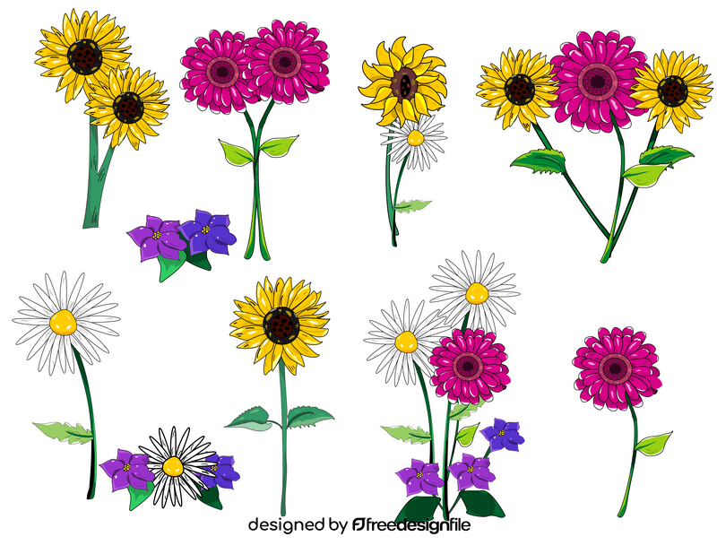 Daisies, gerberas, violets flowers vector