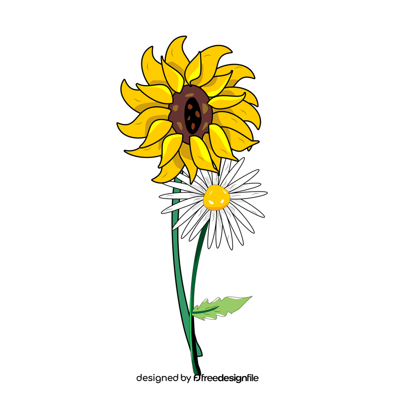 Sunflower and daisy drawing clipart