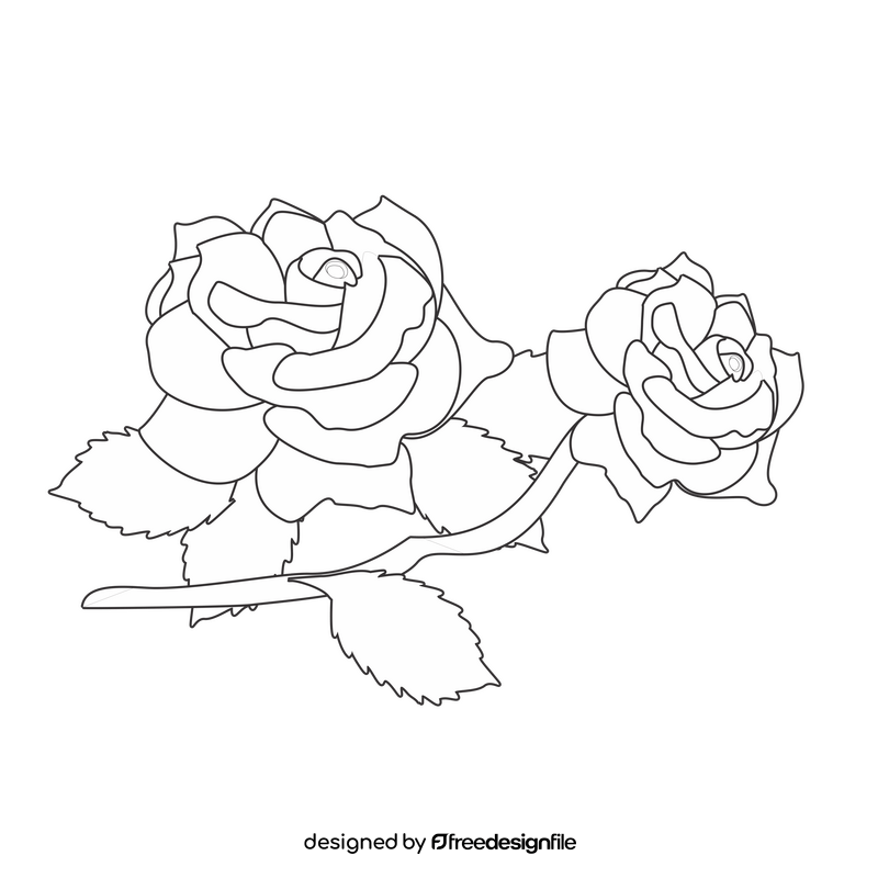 Pink roses drawing black and white clipart