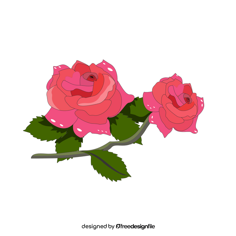 Pink roses drawing clipart