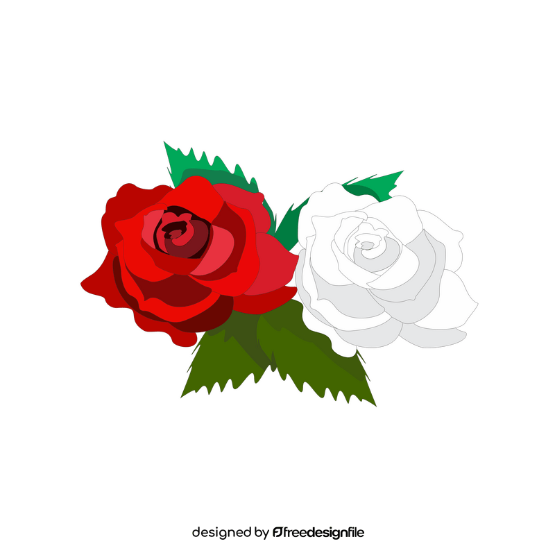 Red and white roses illustration clipart