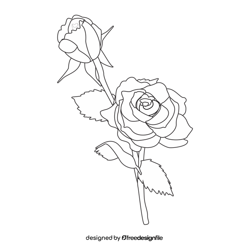 Red rose with a bud black and white clipart