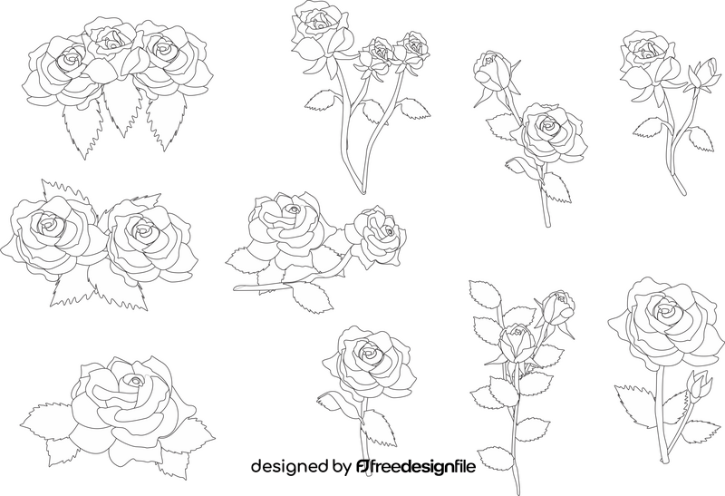Roses black and white vector