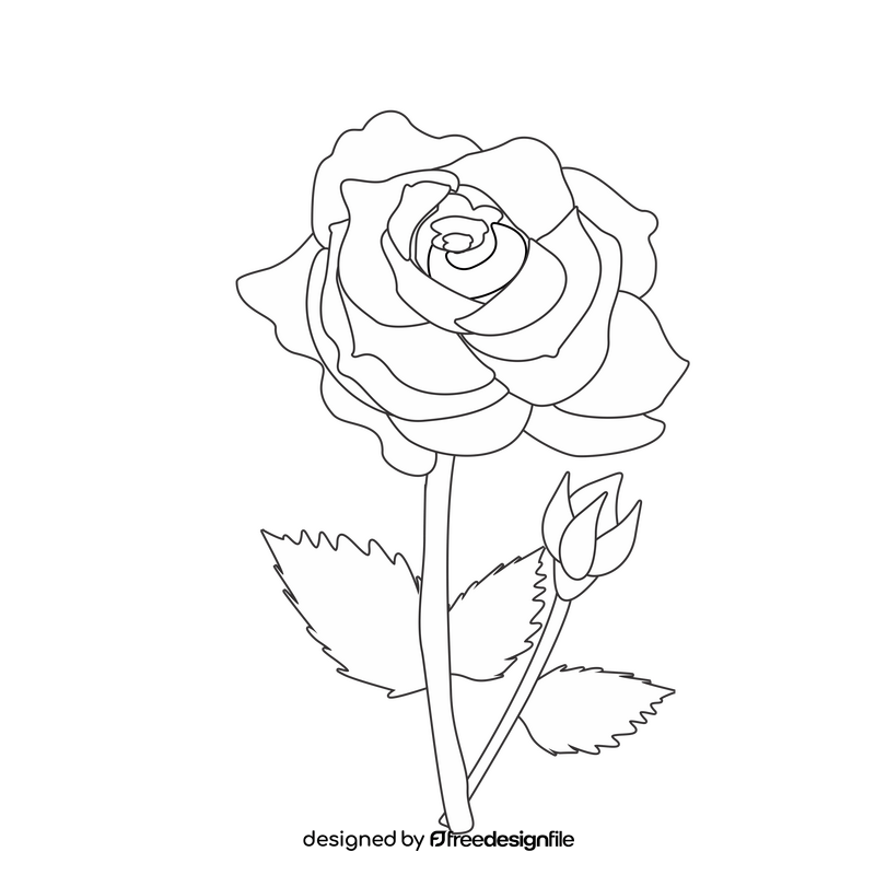White rose with a bud black and white clipart free download