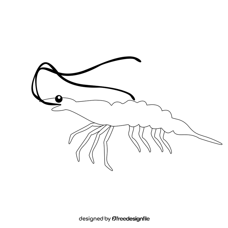 Shrimp cartoon black and white clipart