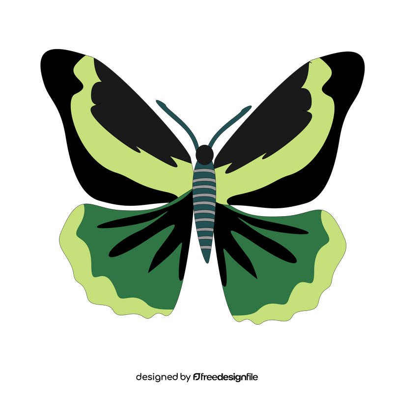 Black and green butterfly illustration clipart