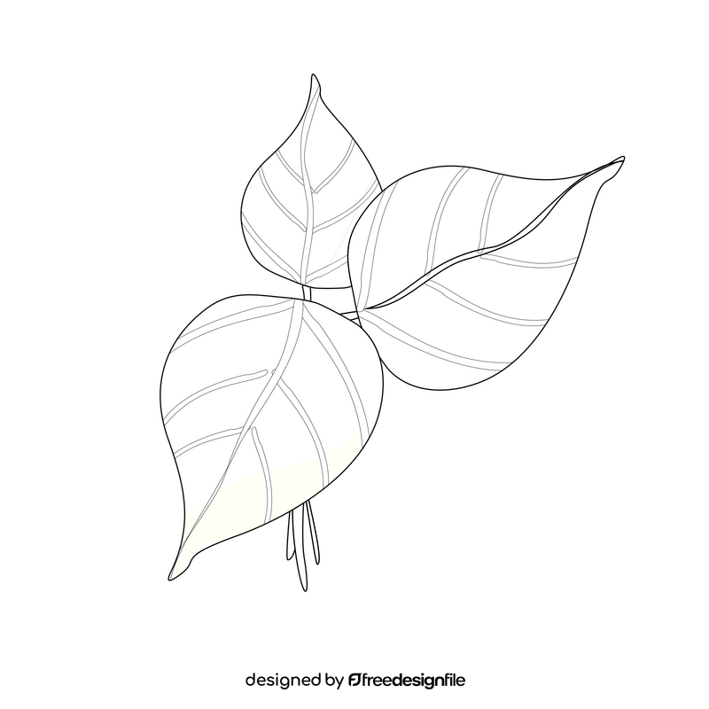 Catalpa leaves cartoon black and white clipart