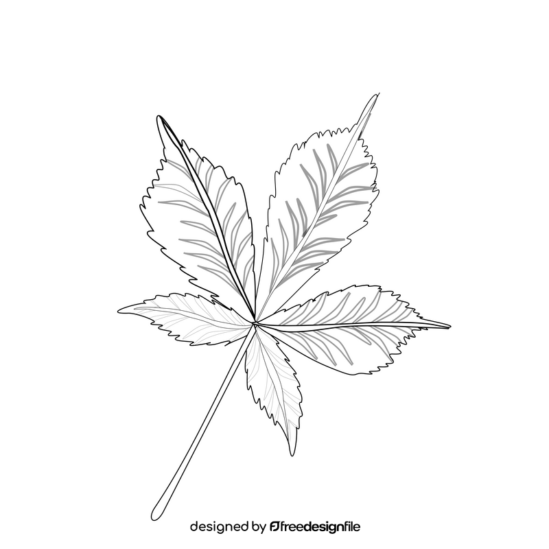 Chestnut leaf black and white clipart