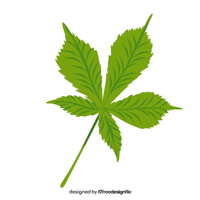Chestnut leaf clipart