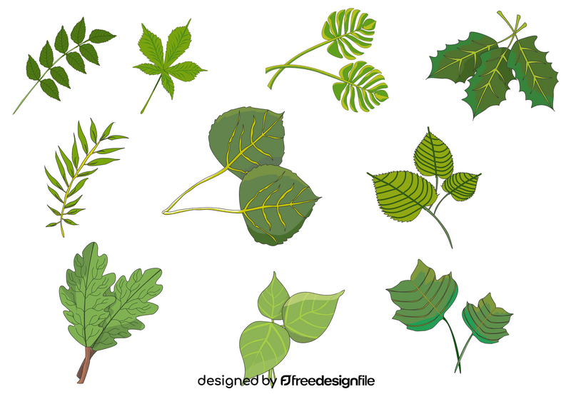 Tree leaves vector