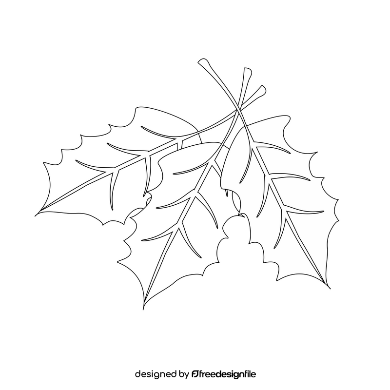 Holly leaf black and white clipart