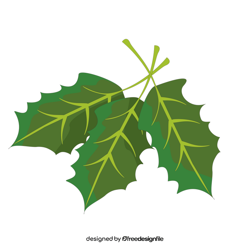 Holly leaf clipart