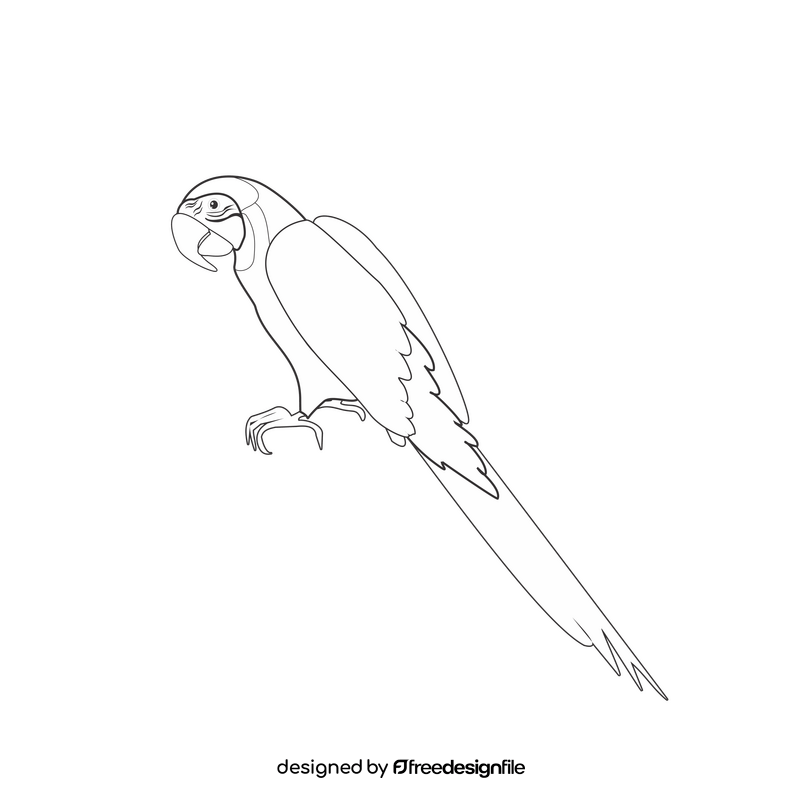 Parrot black and white clipart