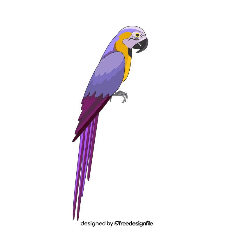 Purple parrot clipart