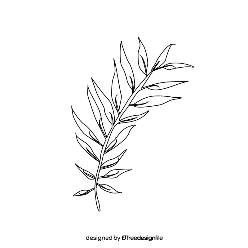 Willow leaf black and white clipart